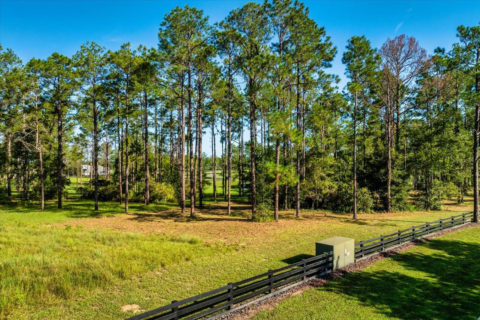 Image 9 of 11 For 35135 Pinegate Trail
