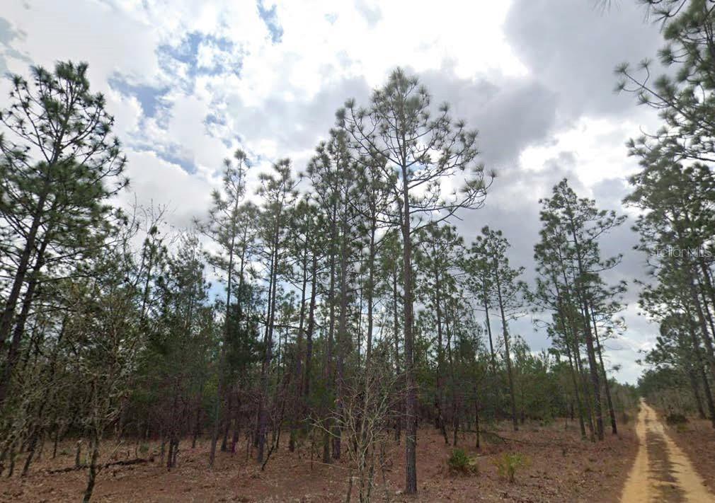 Details for  Lime Way , INTERLACHEN, FL 32148