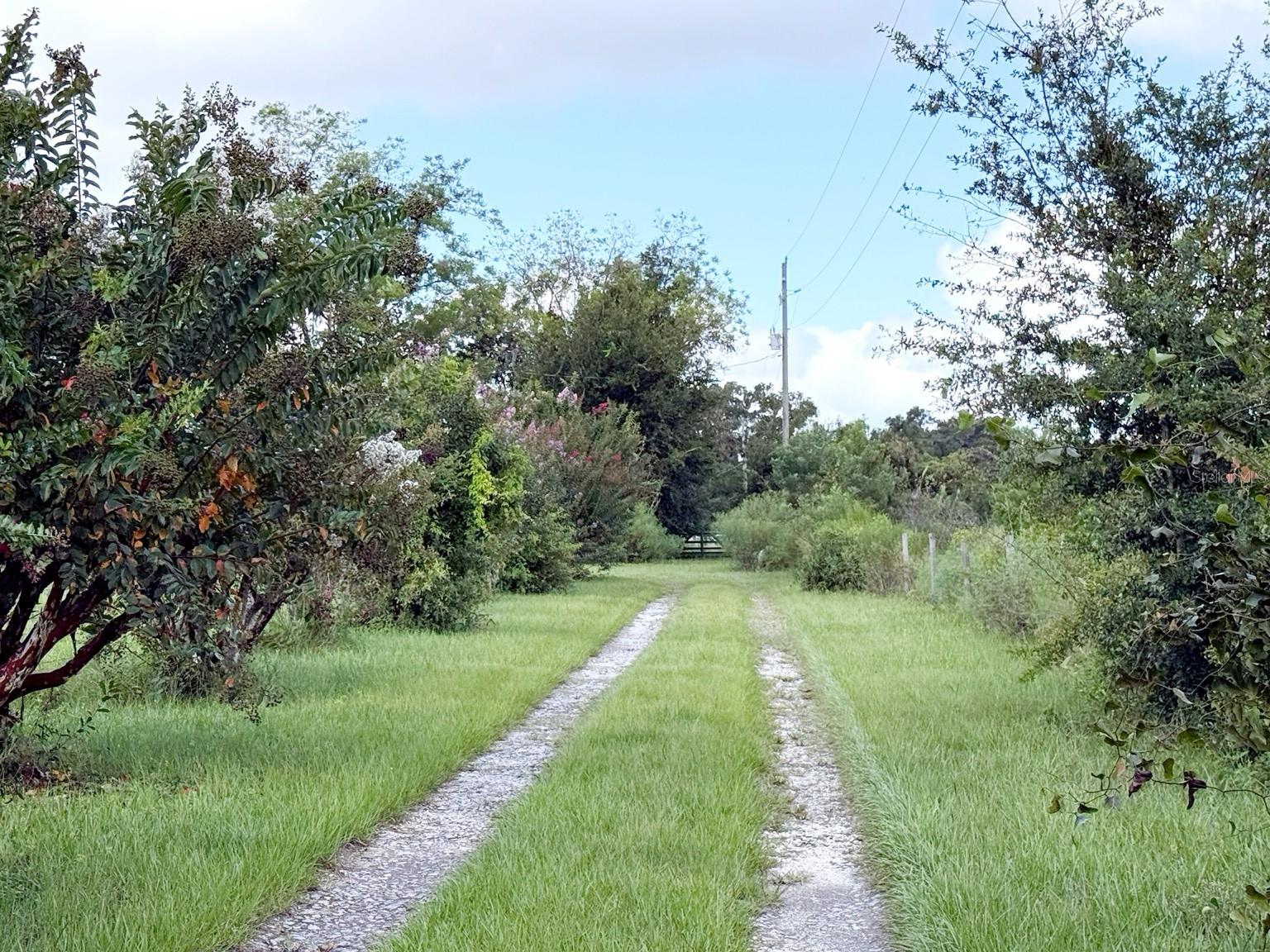 Details for 6896 Cr 619  , BUSHNELL, FL 33513