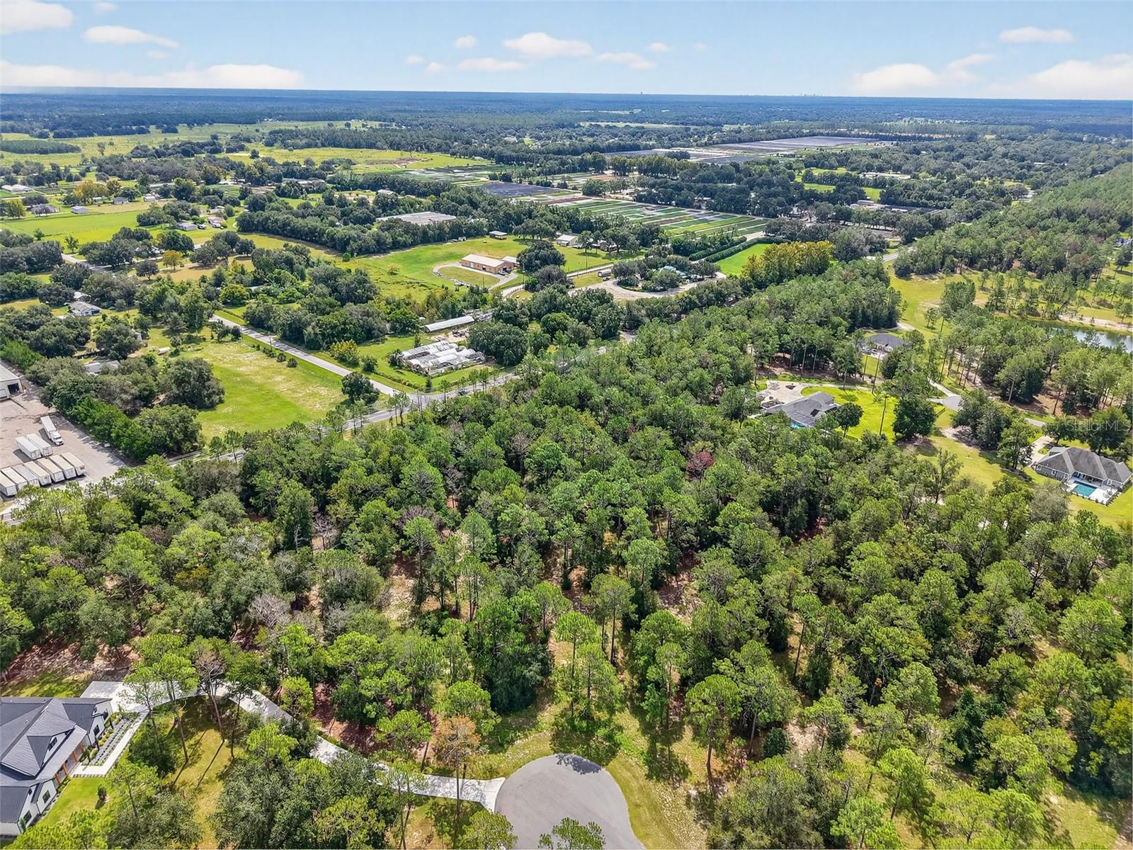 Image 11 of 20 For 35734 High Pines Drive