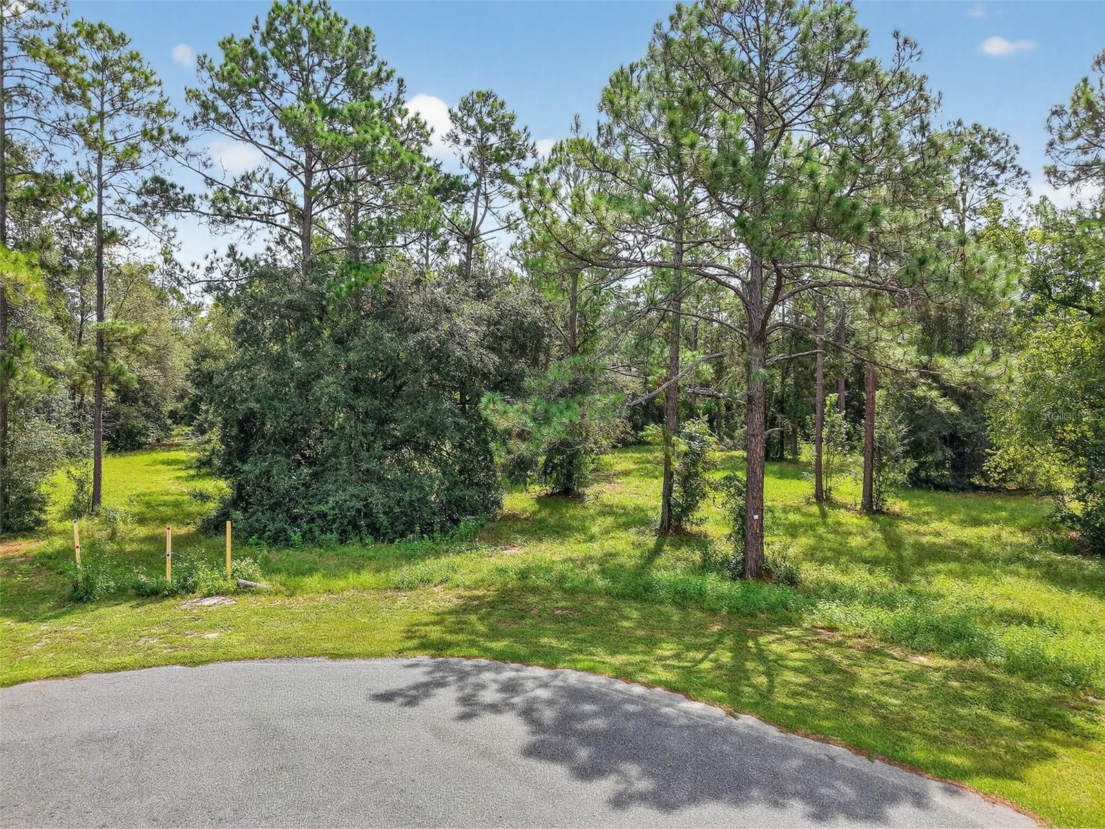 Image 19 of 20 For 35734 High Pines Drive