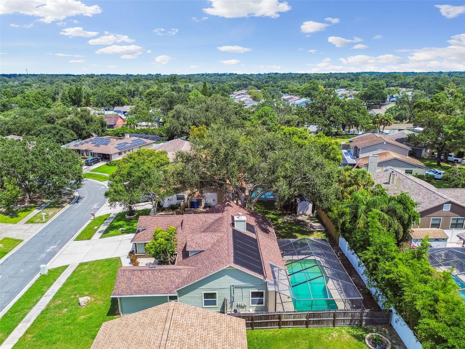 Listing photo id 65 for 811 Bluegrass Lane