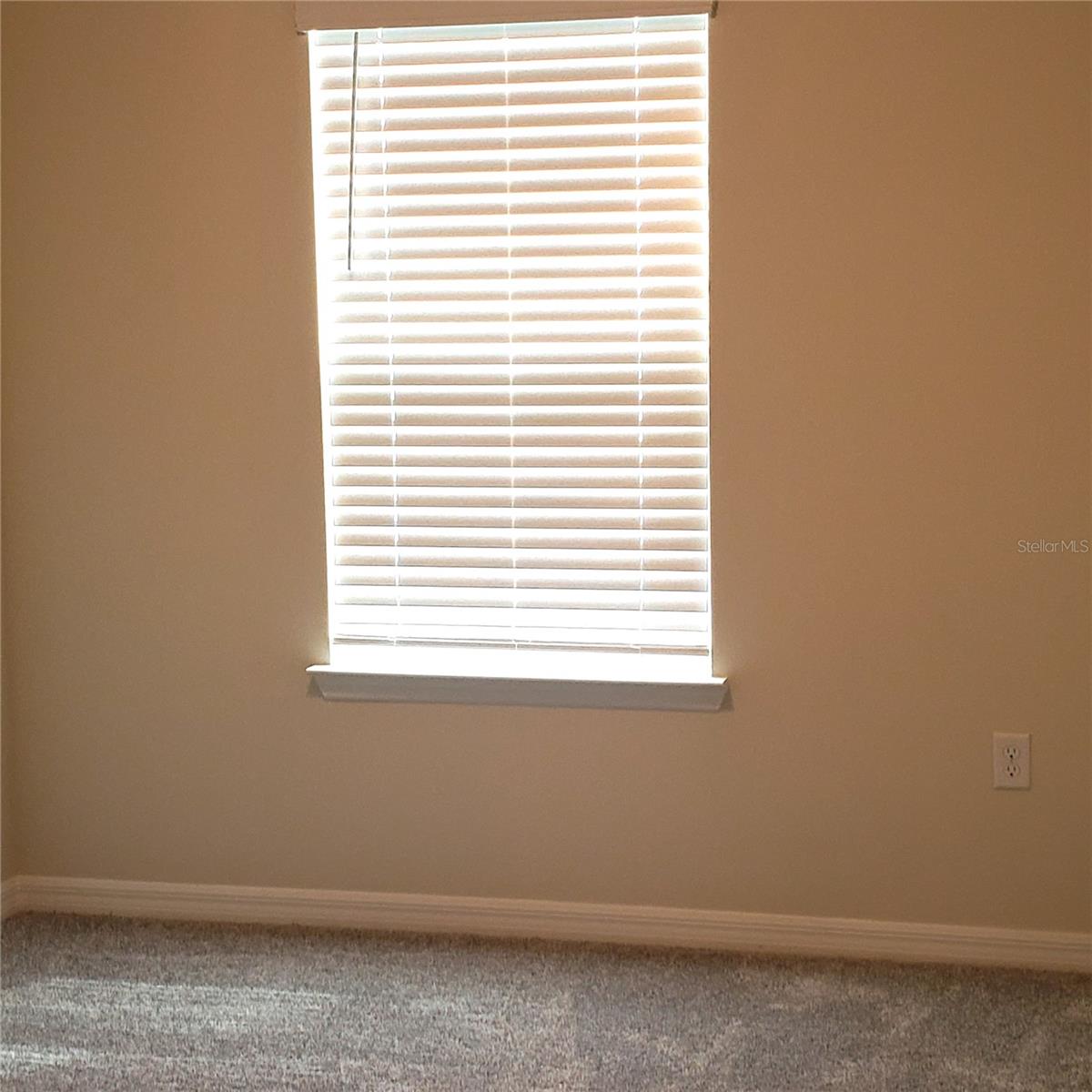 Image 37 of 63 For 6316 Tabebuia Parkway