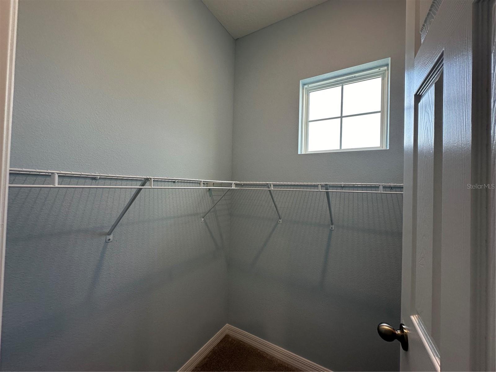 Image 19 of 34 For 7399 Mezzano Lane