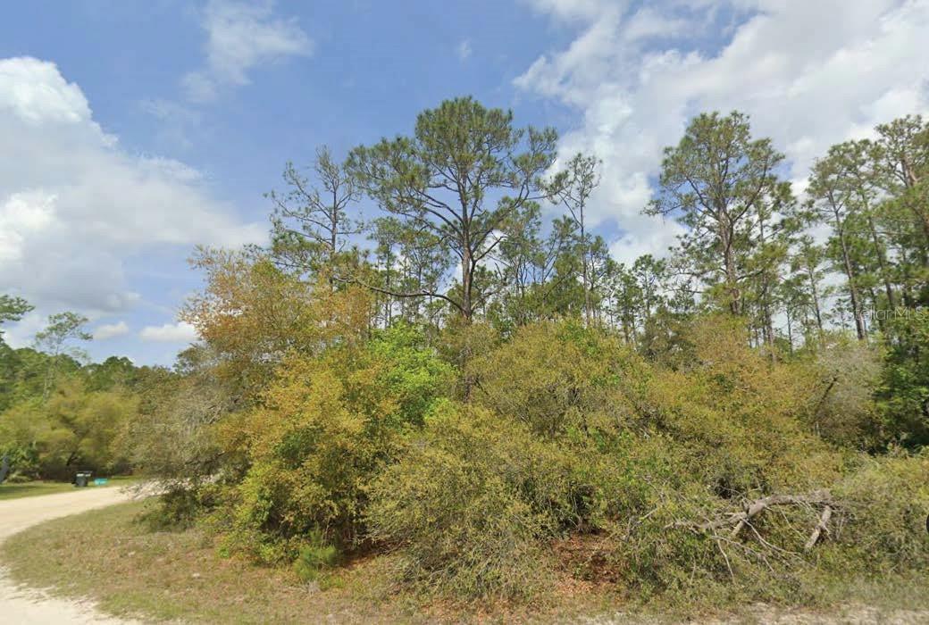Details for Dolphin Drive, GEORGETOWN, FL 32139