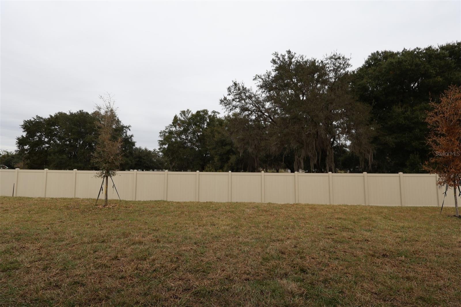 Image 52 of 57 For 3802 Wolves Creek Place