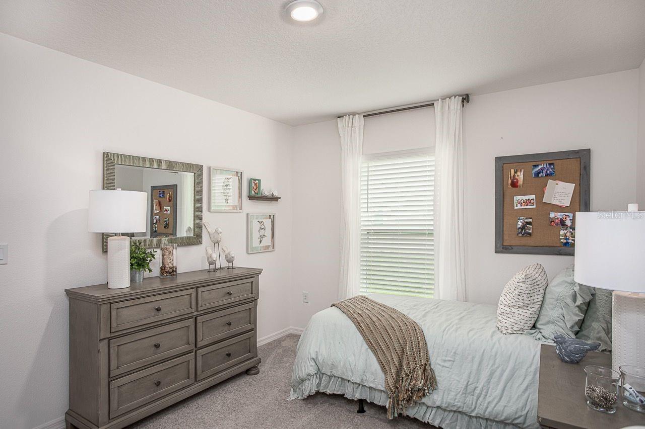 Listing photo id 12 for 2646 Sheila Drive