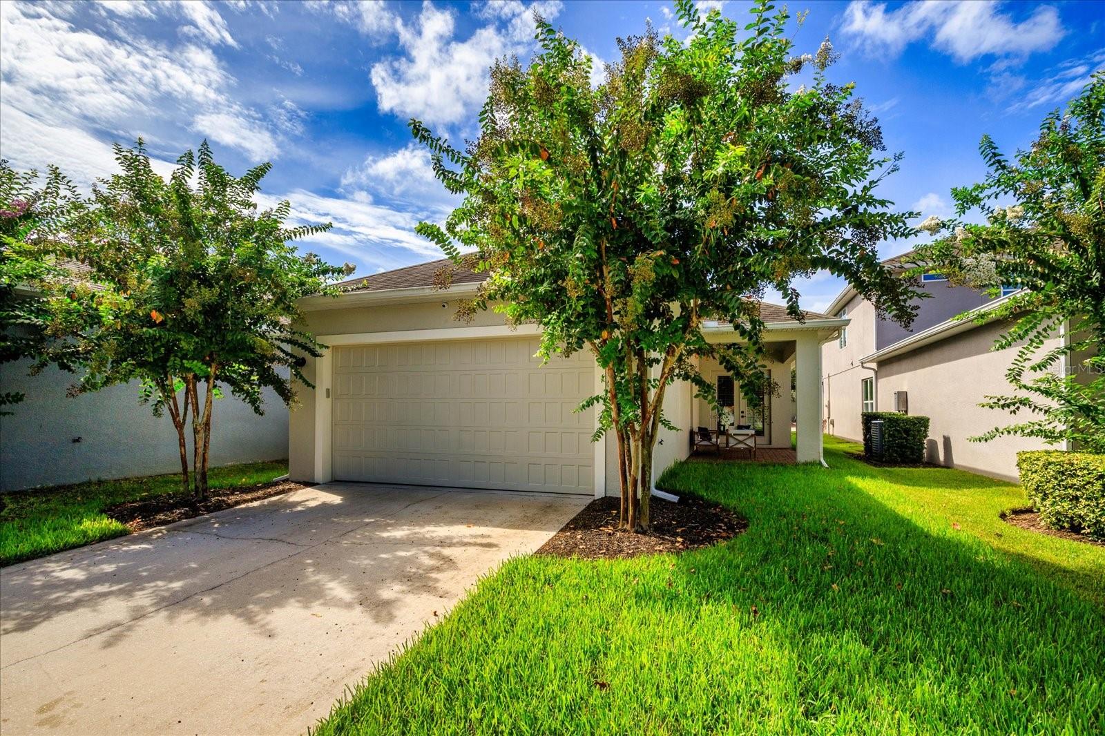 Image 21 of 24 For 15537 Kinnow Mandarin Lane