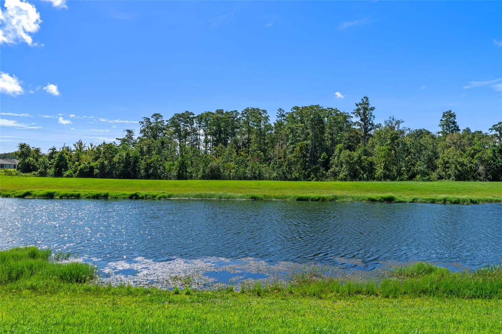 Image 55 of 55 For 12137 Sumter Drive