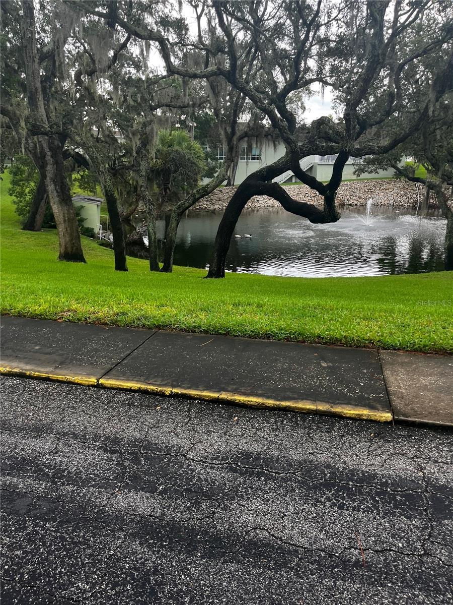 Image 11 of 13 For 1250 Pinellas Avenue 506