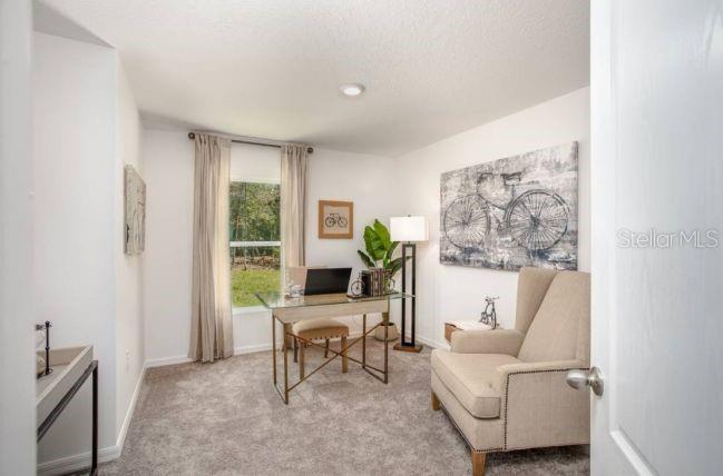 Listing photo id 20 for 2845 Gardenia Drive