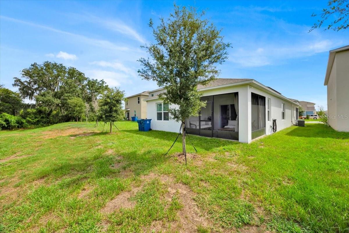 Image 28 of 28 For 2497 Ribbon Fall Avenue