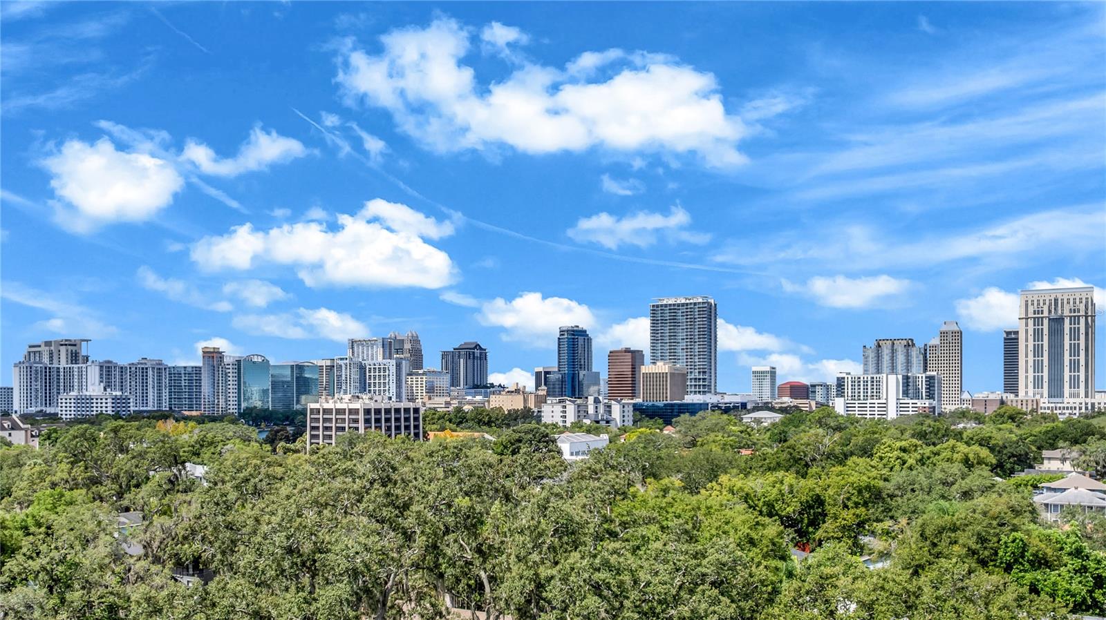 Image 43 of 43 For 812 Harwood Street