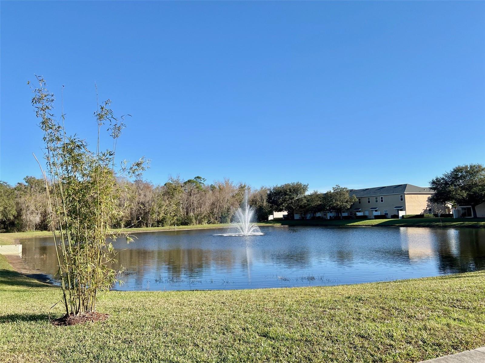 Image 33 of 34 For 16752 Cedar Crest Drive