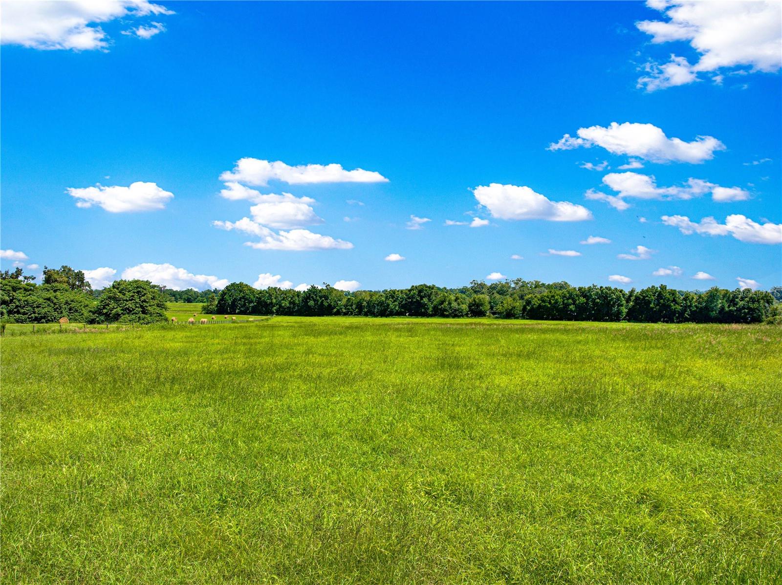 Image 7 of 7 For 0 95th Street