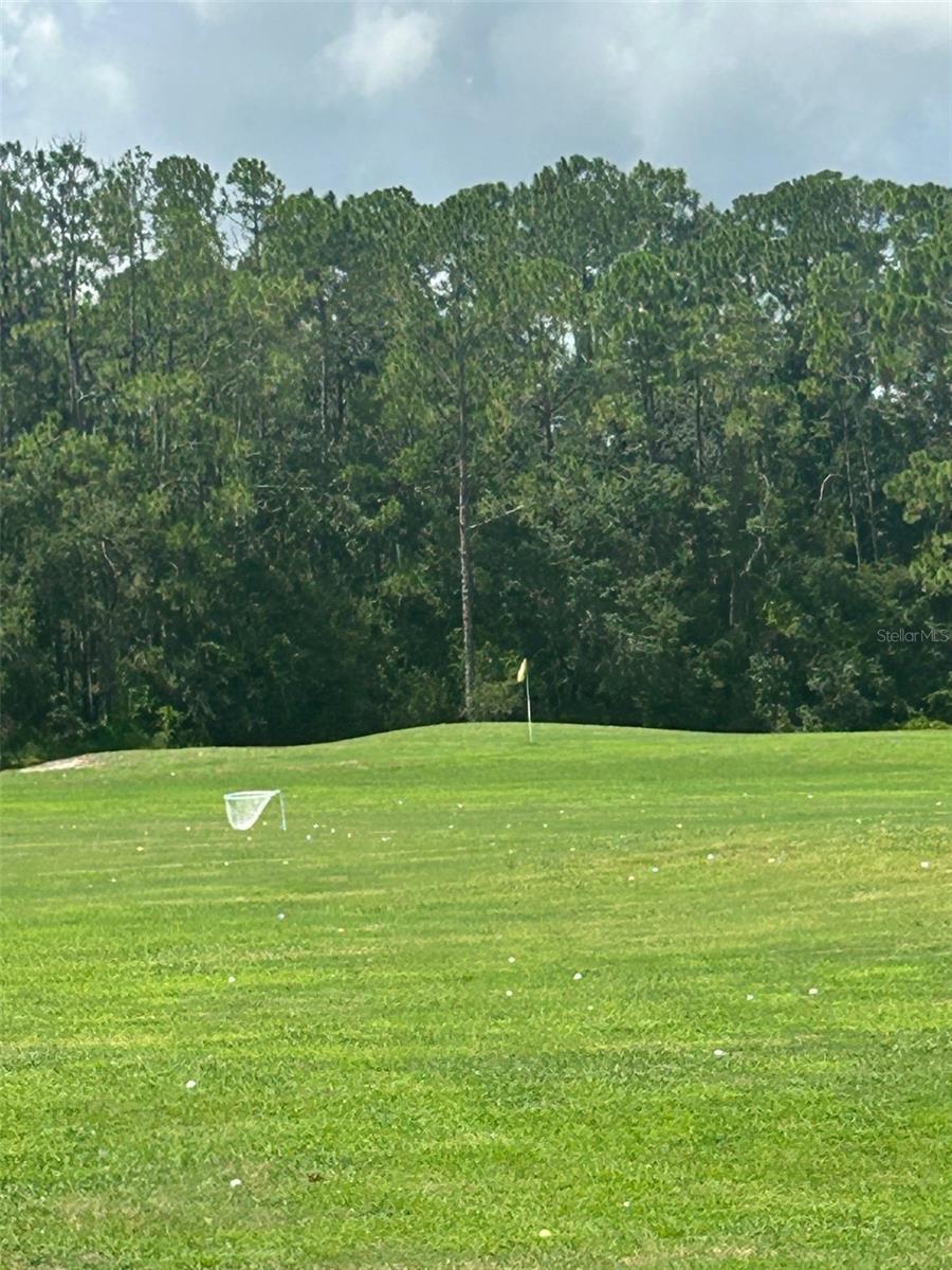 Image 17 of 28 For 25119 Cranes Roost Circle