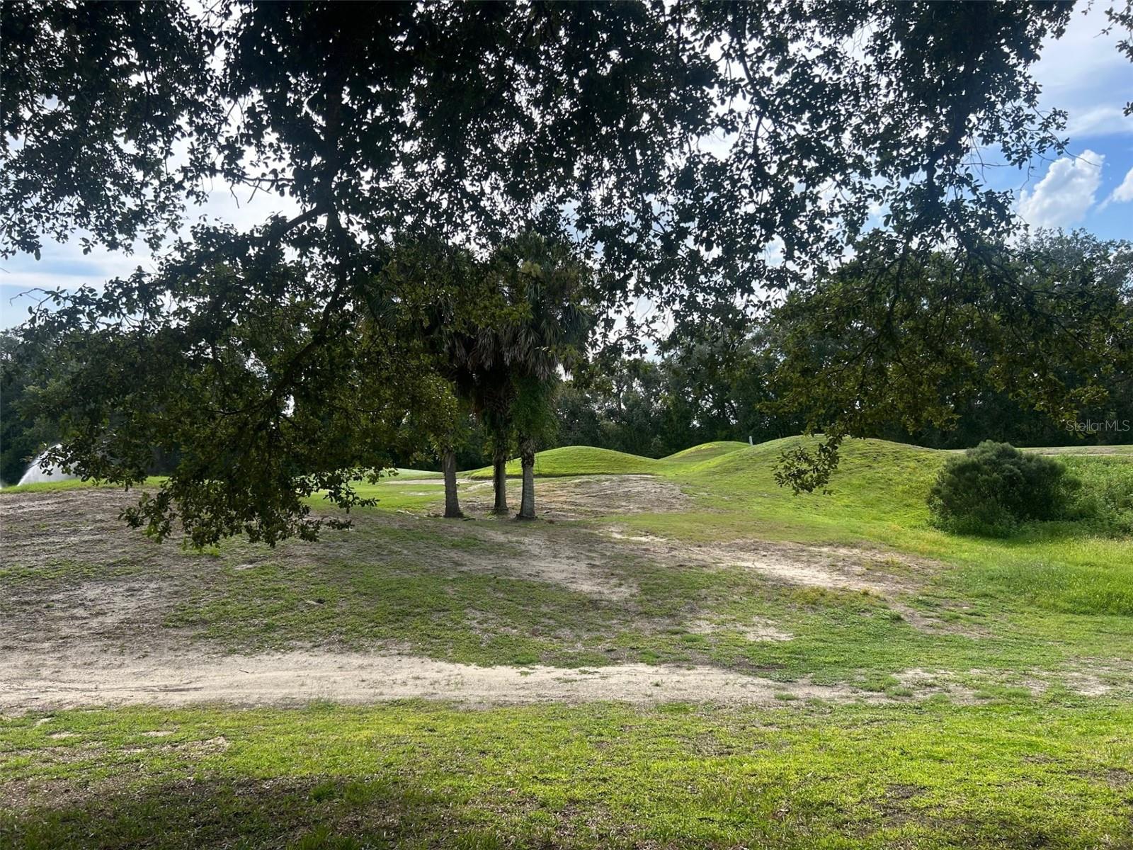 Image 19 of 28 For 25119 Cranes Roost Circle