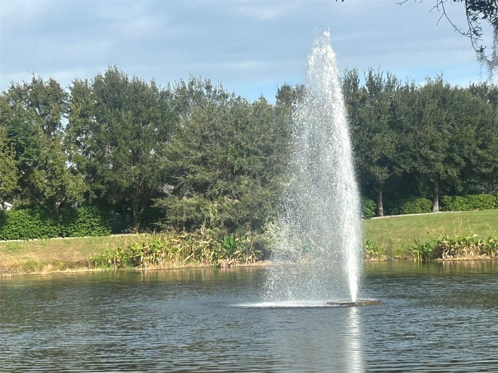 Image 26 of 28 For 25119 Cranes Roost Circle