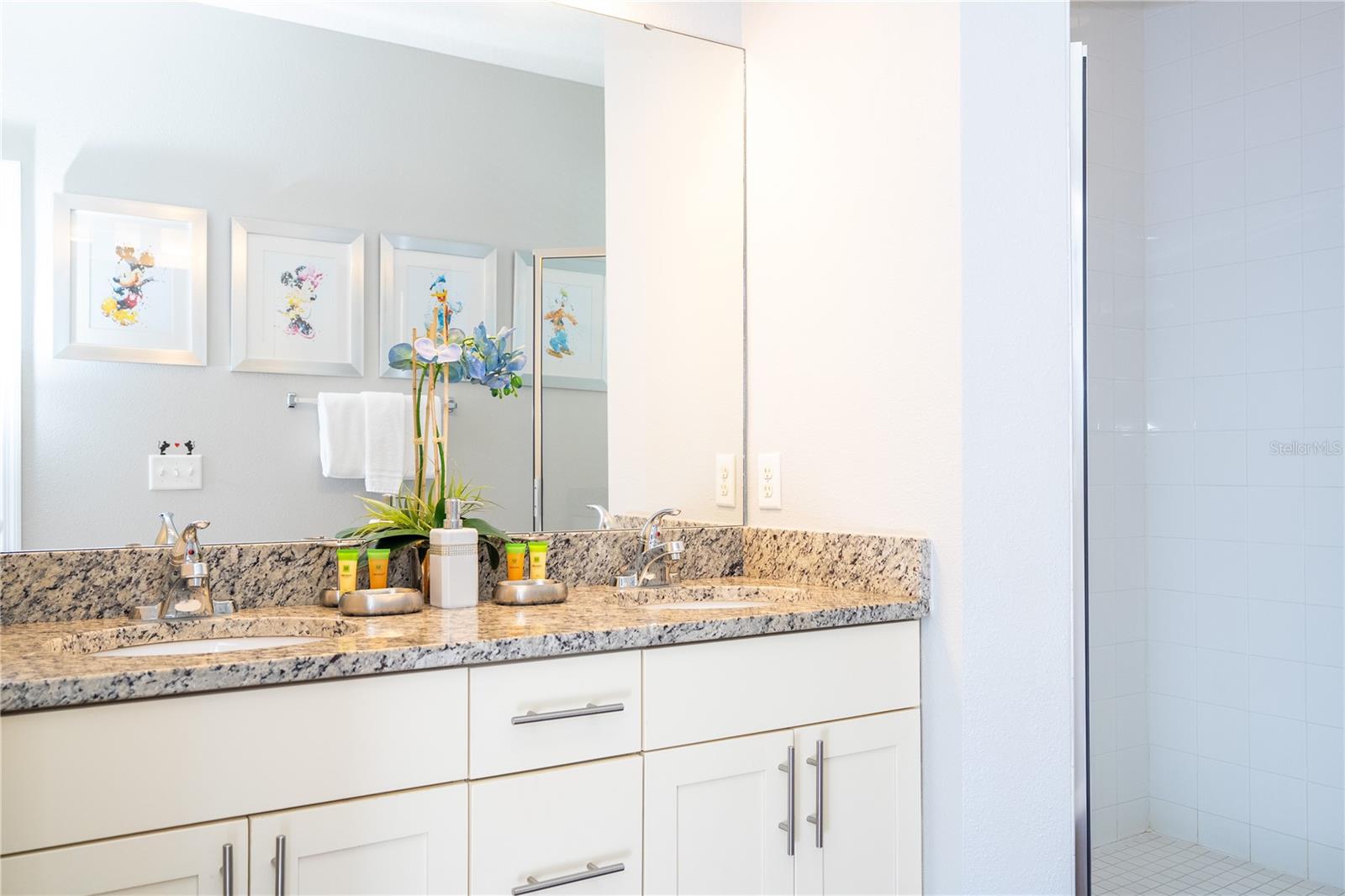 Image 46 of 81 For 9008 Shine Drive