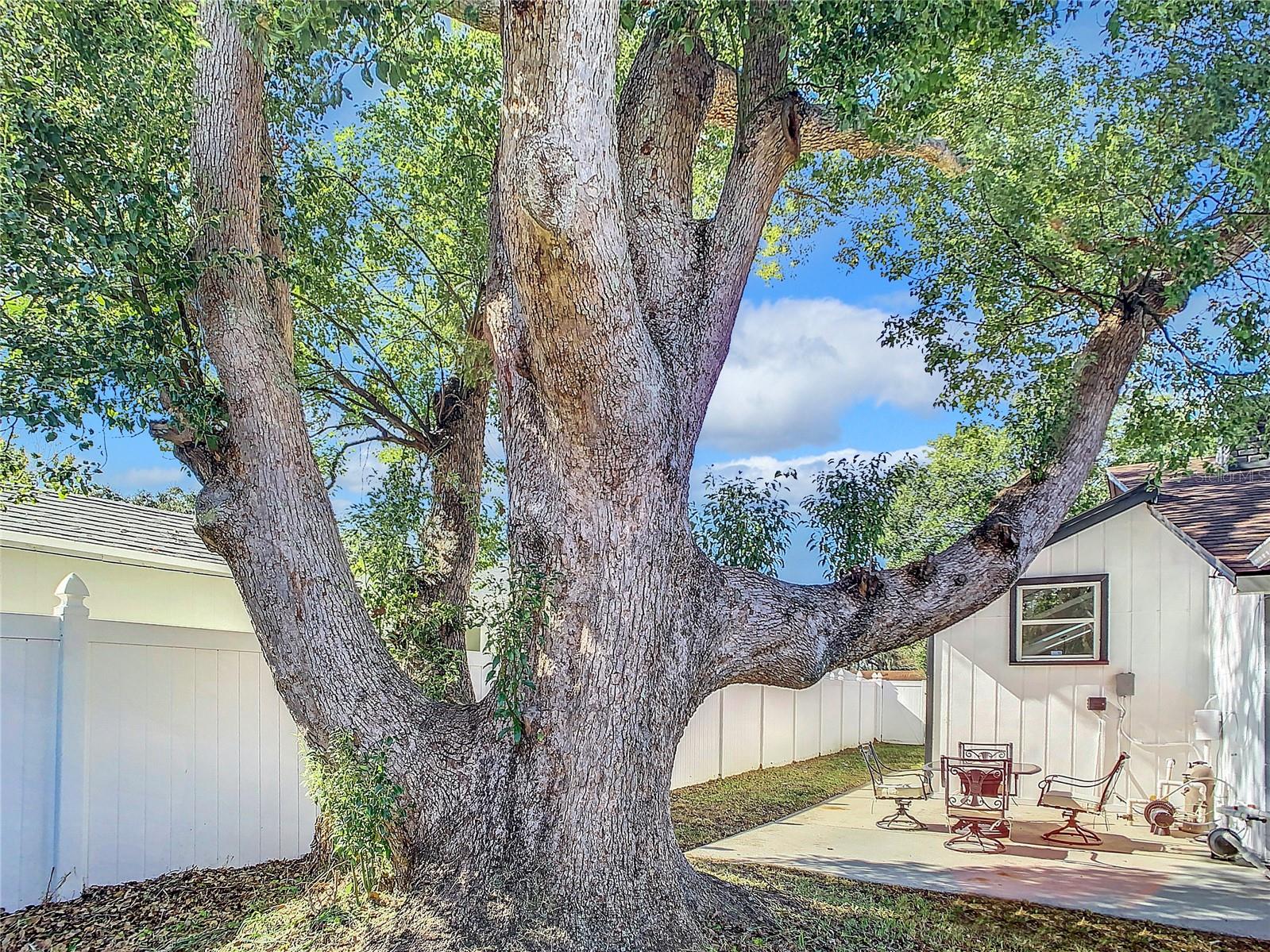 Image 41 of 43 For 5105 Dorian Avenue