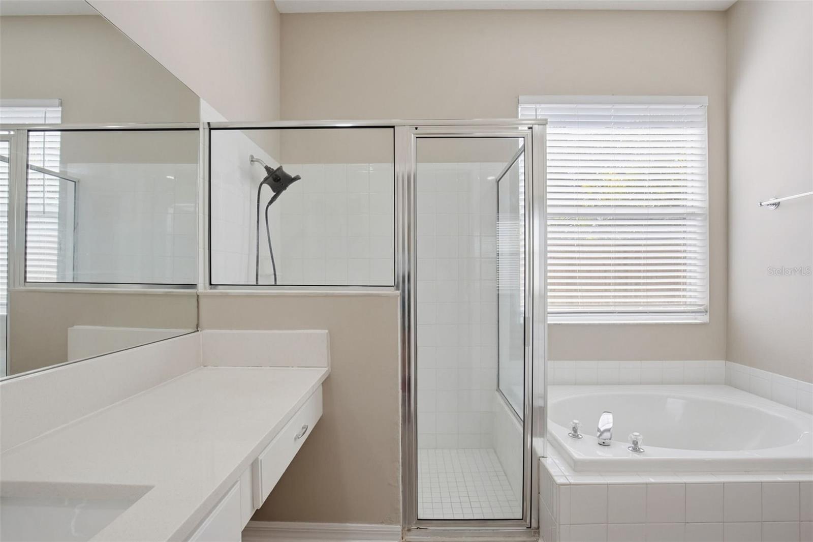 Image 40 of 50 For 342 Mane Court