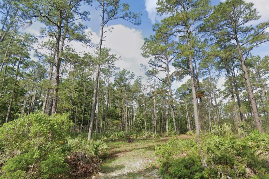 Details for 132 2nd Avenue, SATSUMA, FL 32189