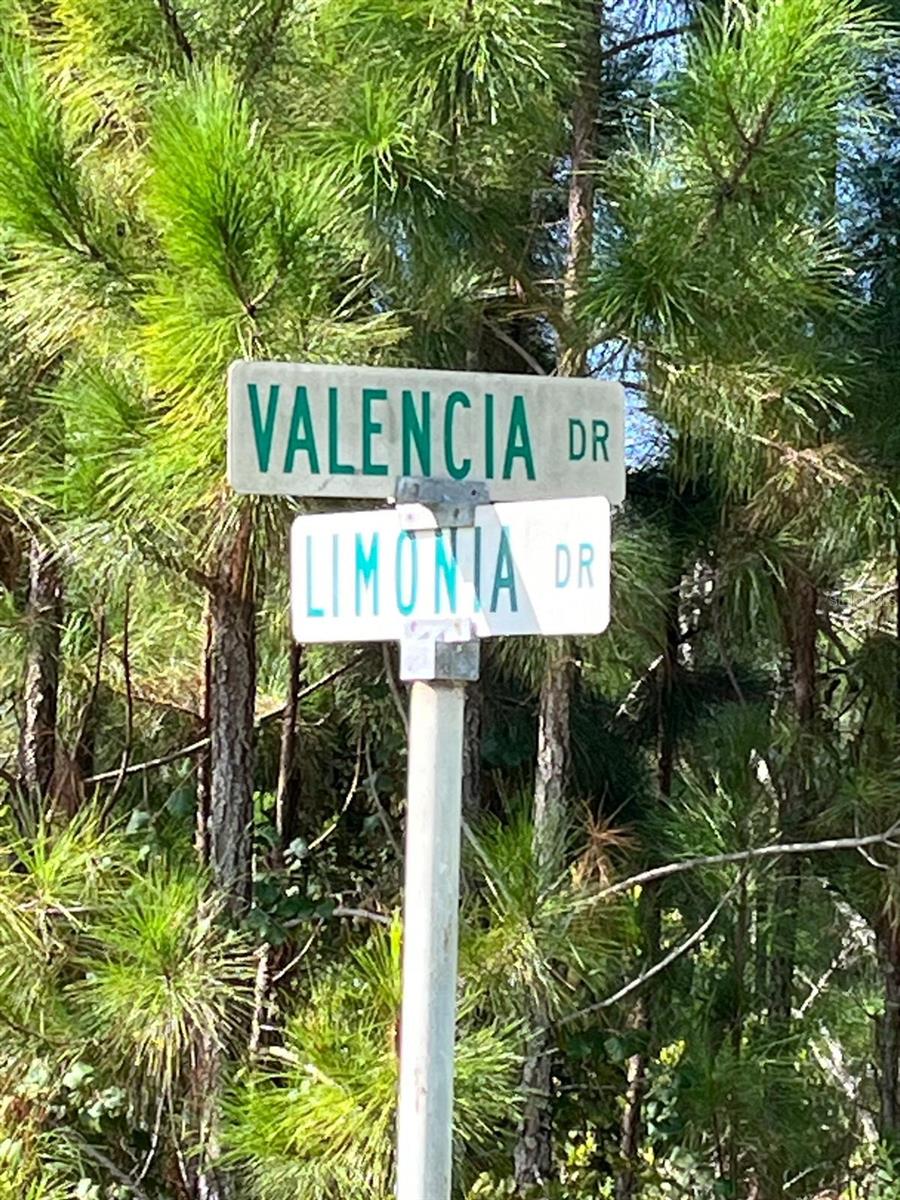 Image 5 of 13 For 211 Valencia Drive