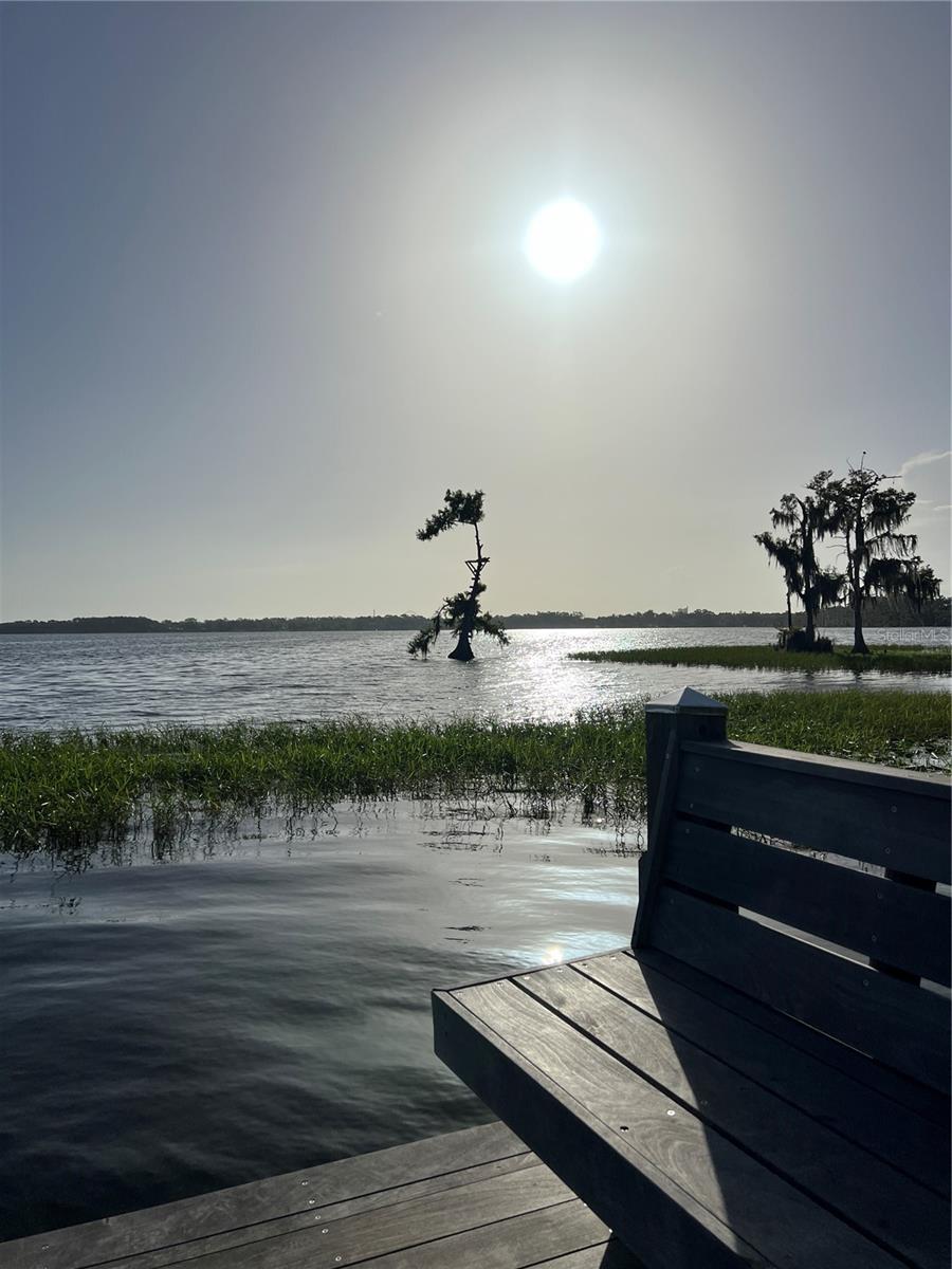 Image 89 of 100 For 10343 Lake Sheen Reserve Boulevard