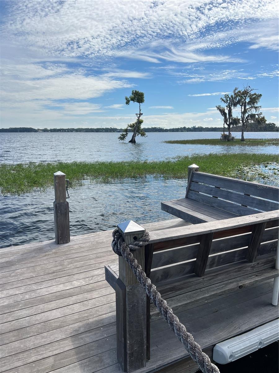 Image 98 of 100 For 10343 Lake Sheen Reserve Boulevard