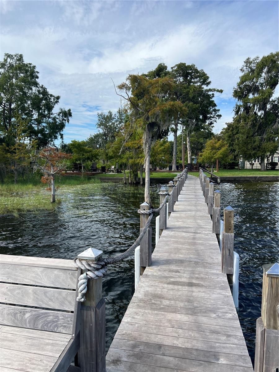 Image 99 of 100 For 10343 Lake Sheen Reserve Boulevard