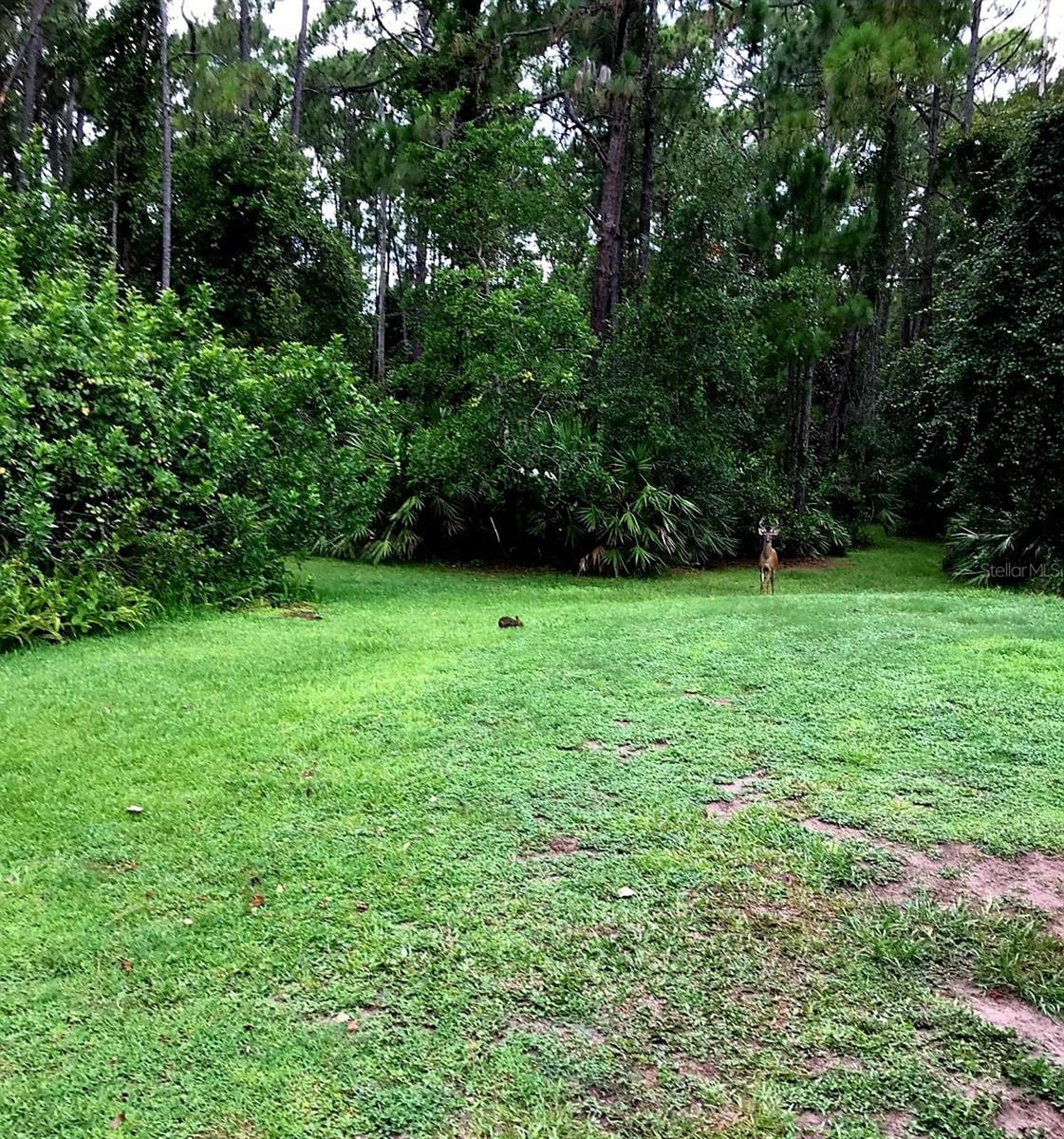 Image 10 of 20 For 2380 Shepherd Avenue