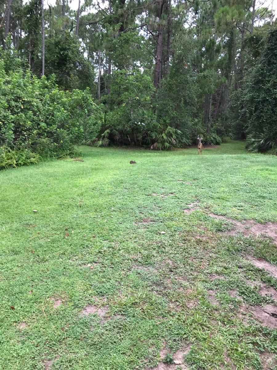 Image 11 of 20 For 2380 Shepherd Avenue