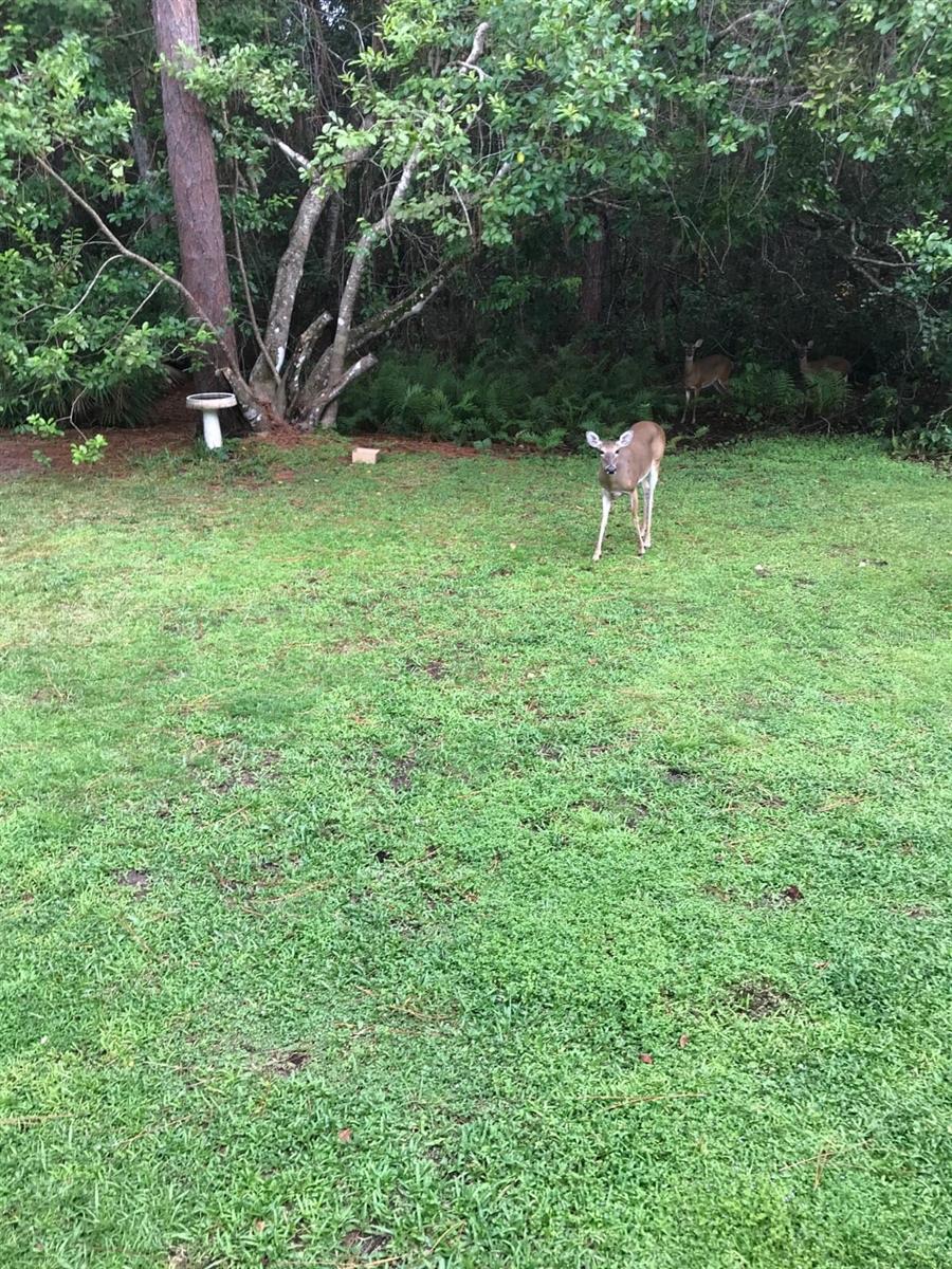 Image 12 of 20 For 2380 Shepherd Avenue