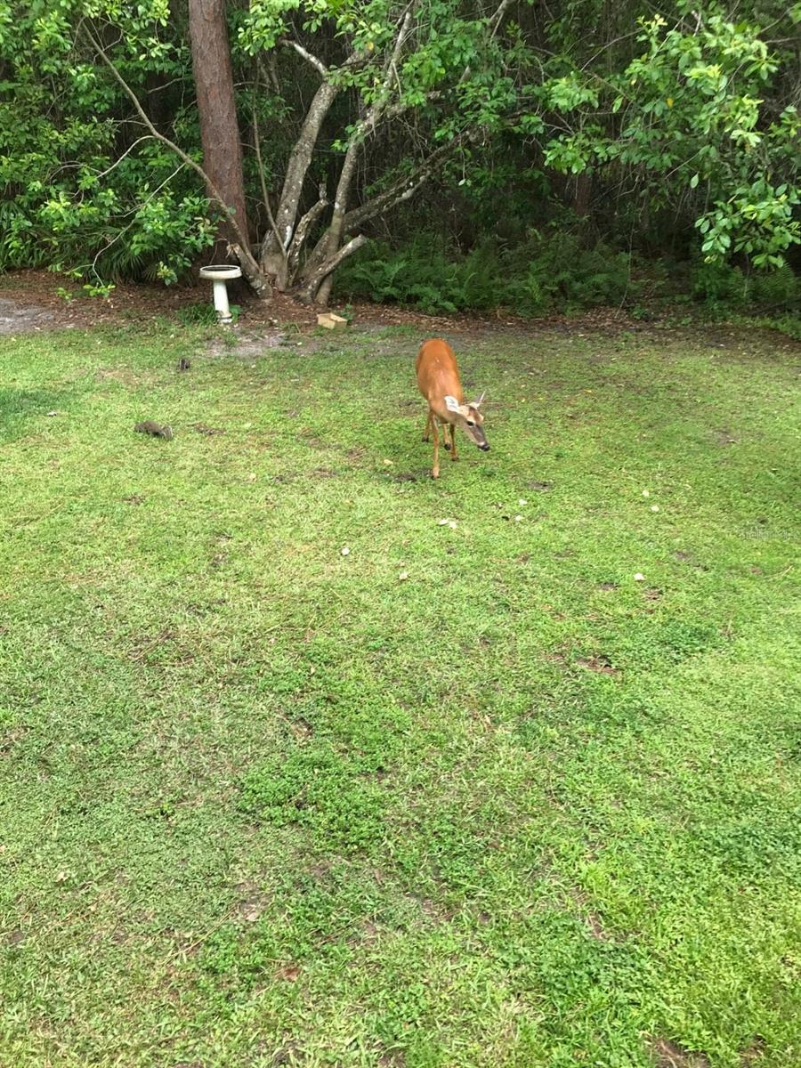 Image 13 of 20 For 2380 Shepherd Avenue