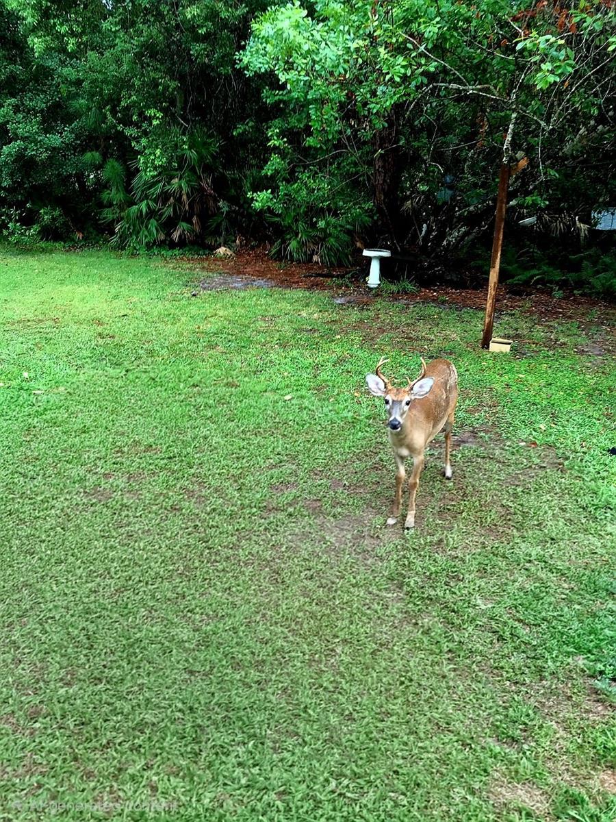 Image 14 of 20 For 2380 Shepherd Avenue