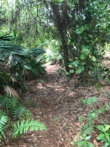 Image 16 of 20 For 2380 Shepherd Avenue