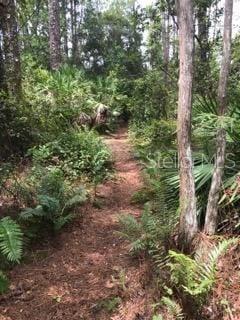 Image 17 of 20 For 2380 Shepherd Avenue