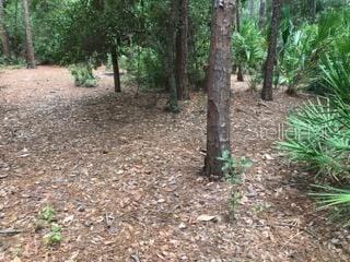 Image 18 of 20 For 2380 Shepherd Avenue