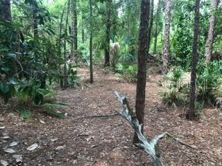 Image 19 of 20 For 2380 Shepherd Avenue