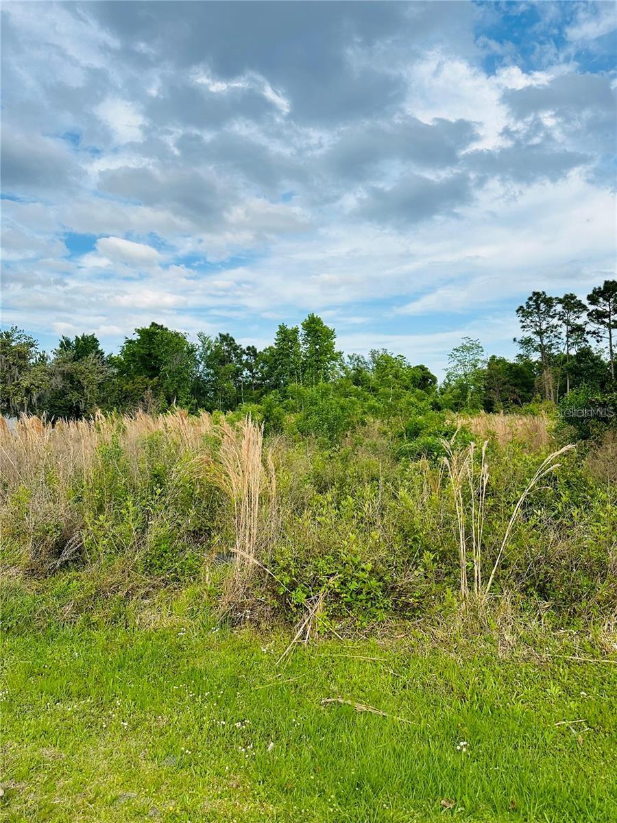 Image 13 of 14 For 1295 Sherman Street