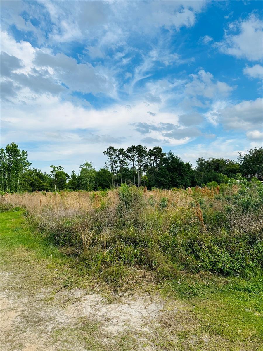 Image 14 of 14 For 1295 Sherman Street