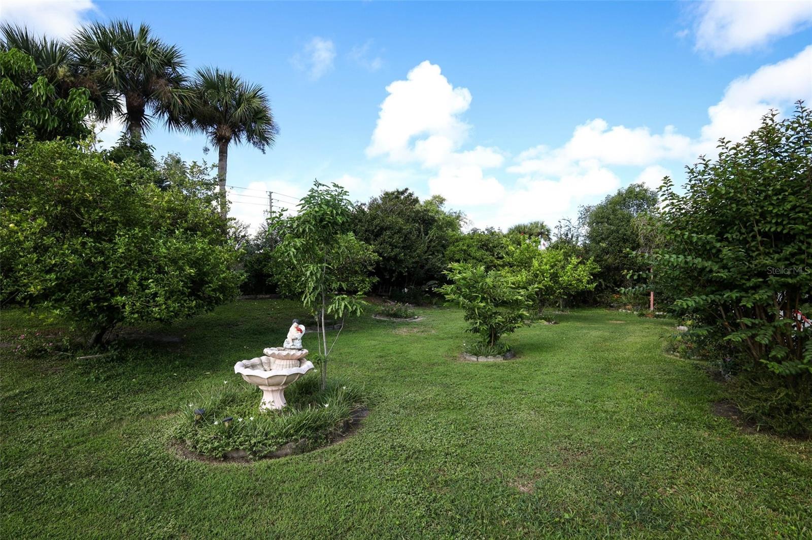 Image 41 of 43 For 11832 Scotty Drive