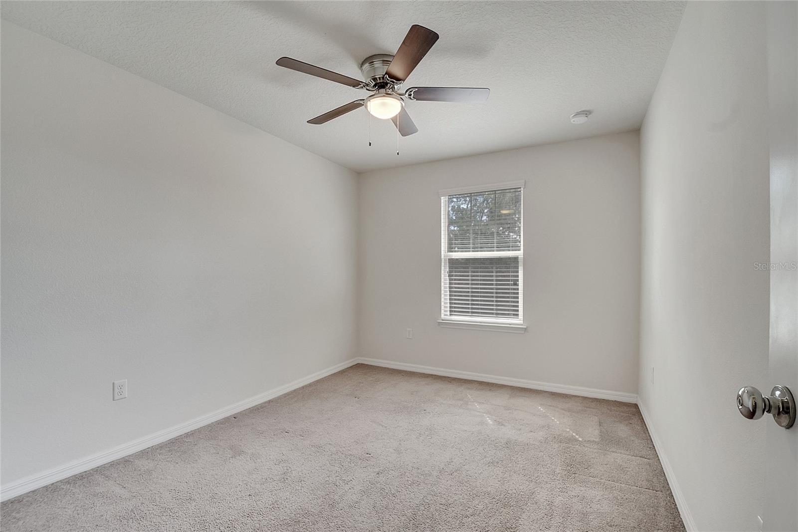 Image 40 of 41 For 247 Domus Lane