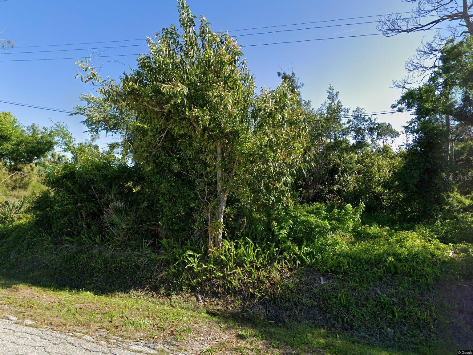 Listing Details for 259 Langsner Street, ENGLEWOOD, FL 34223