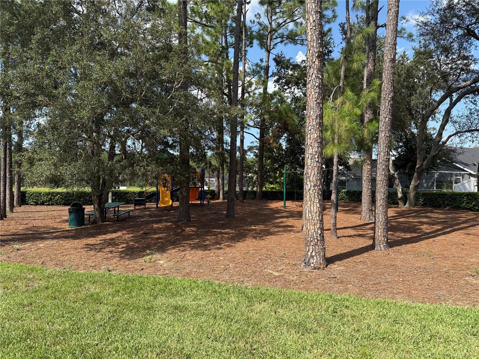 Image 27 of 28 For 154 Pineleaf Pass