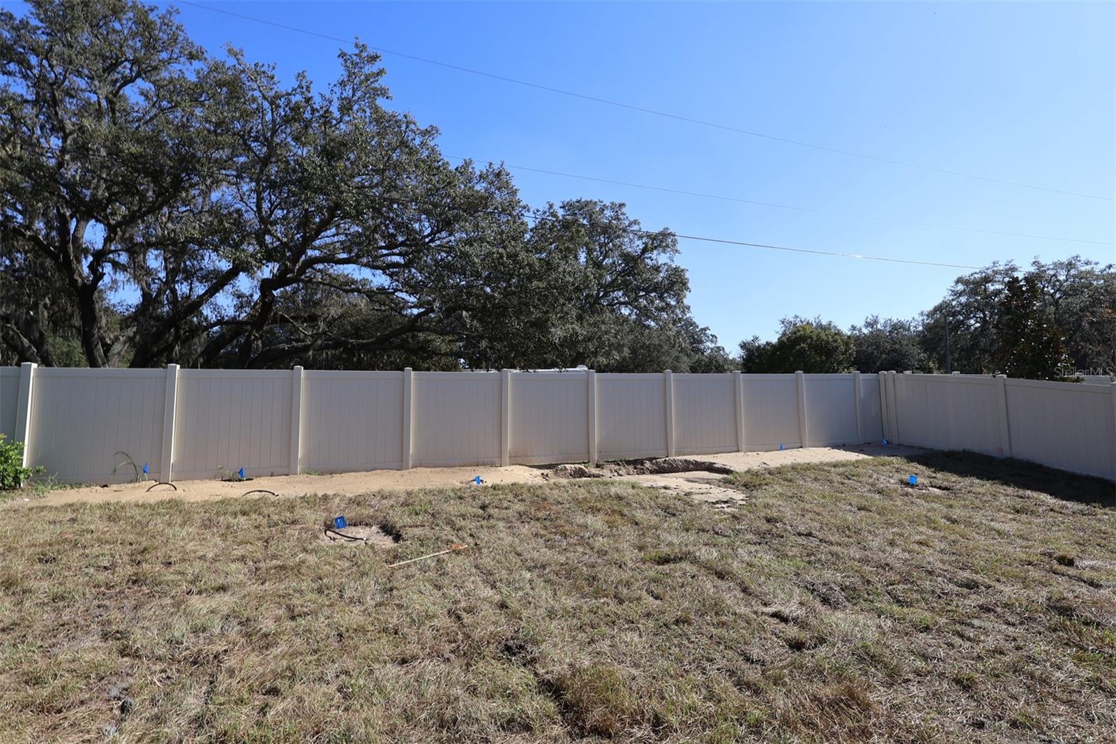 Image 37 of 38 For 357 Lady Palm Street