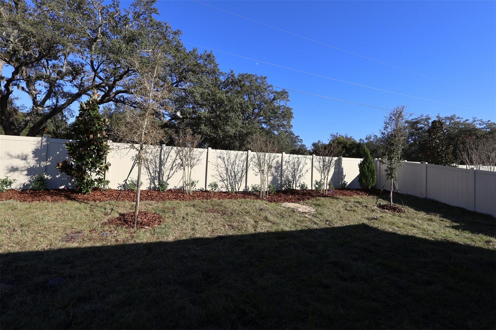 Image 38 of 38 For 357 Lady Palm Street