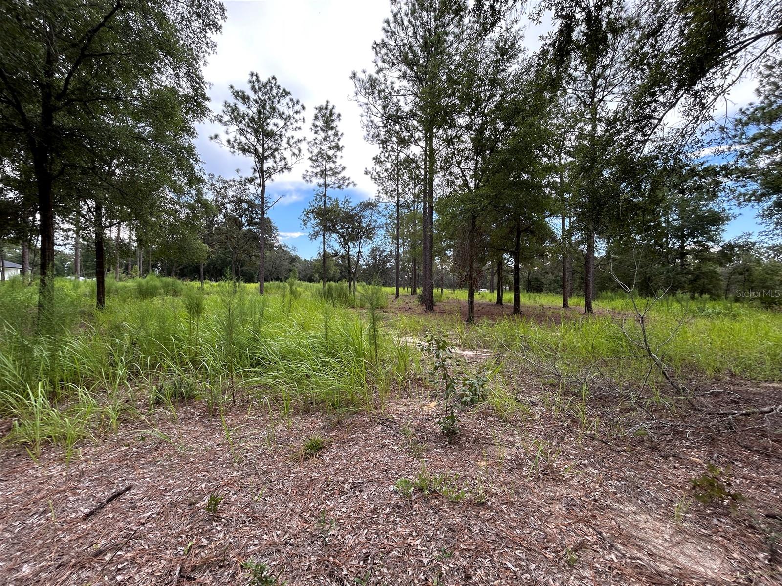Details for 16051 44 Street, OCALA, FL 34481