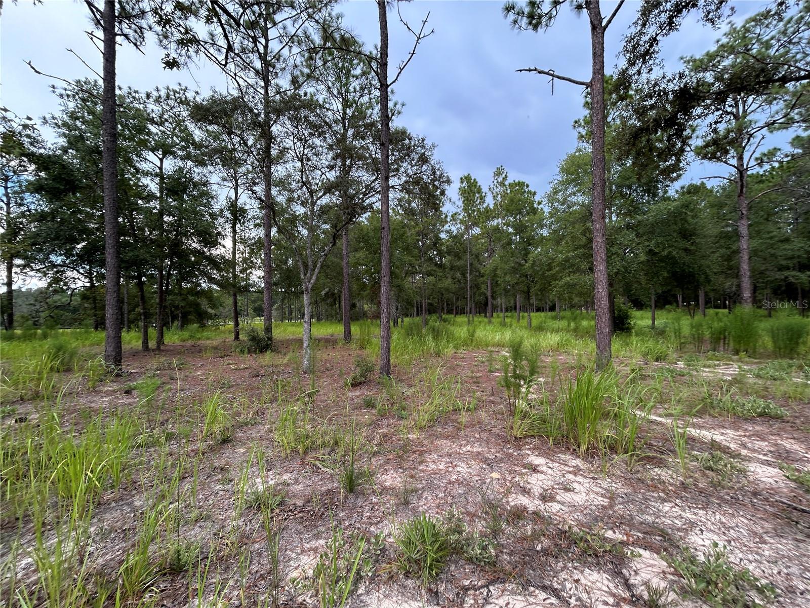 Image 10 of 10 For 16051 44 Street