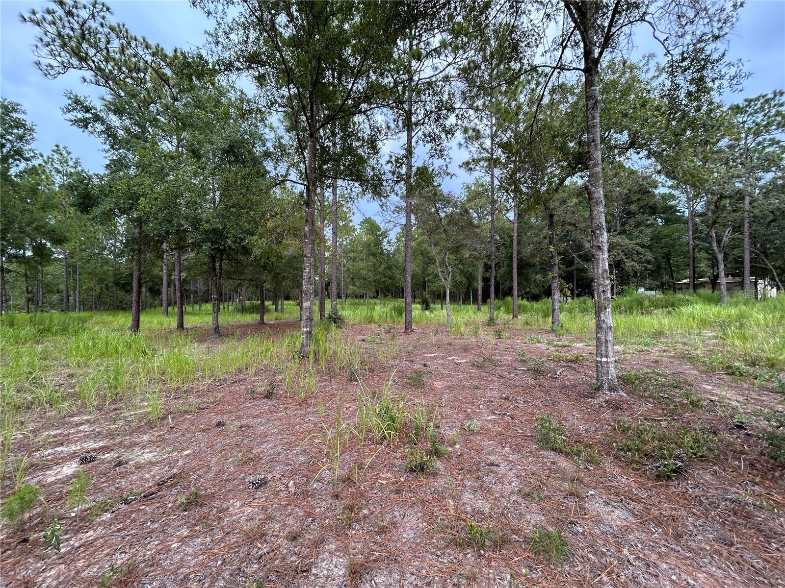 Image 3 of 10 For 16051 44 Street
